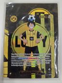 �ڱѸ��ǡ�ST13-003 ��󥭡���D����ե� L(�ɥ�ȥ���)��̤������