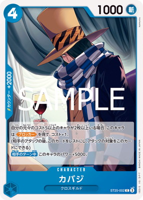 サンジ　17点セット Amazon.co.jp: TRD フロントロワーアームブッシュNo.2 48655
