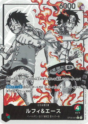 �ڥѥ����ST30-001 ��ե��������� L