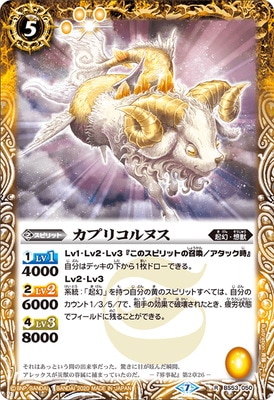 BS53-050 ���ץꥳ��̥� R