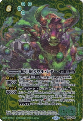 ��SECRET��BS55-X05 ��ǯ�������롦������ X