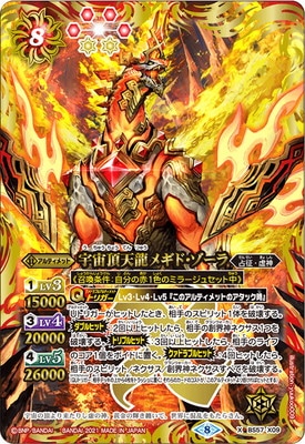 BS57-X09 ����ĺŷζ�᥮�ɡ������� X