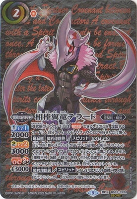 ��SECRET��BS62-CX01 ������ε�ƥ顼�� ����X