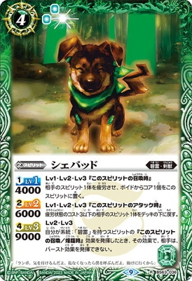 BS63-036 �����ѥå� R