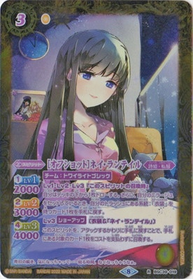 �ڥѥ����BSC39-019 �Υ��ե���åȡϥͥ������ƥ��� R