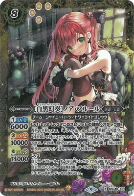 ��SECRET��BSC40-X01 ��������աϥΥ����ե롼�� X