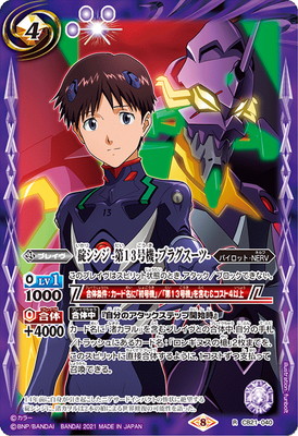 CB21-040 ������ -��13�浡���ץ饰������- R