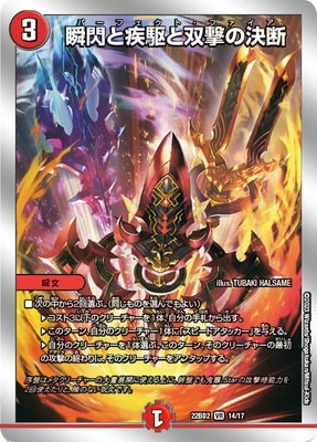 DM22-BD2/14/VR/�����ȼ�����з�η���