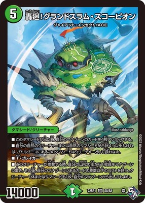 DM22-RP1/S8/SR/���!�����ɥ���ࡦ�������ԥ���