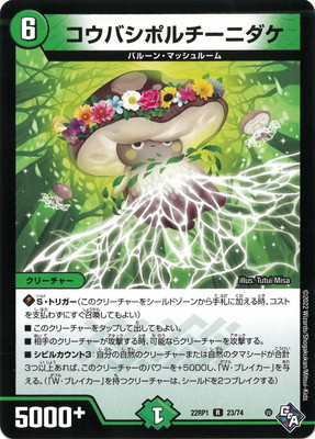 DM22-RP1/23/R/�����Х��ݥ�����˥���