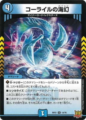 ��21��/DMRP-21/14/R/�����饤��γ���