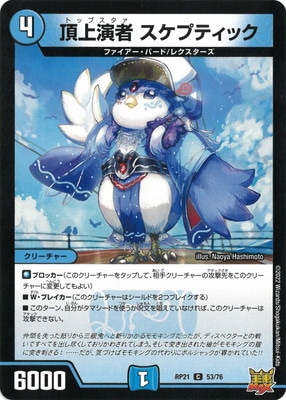 ��21��/DMRP-21/53/C/ĺ���� �����ץƥ��å�