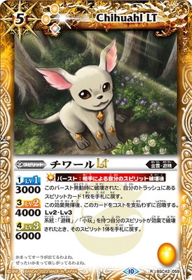 BSC42-059 �����LT R