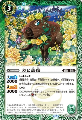BS65-022 ������