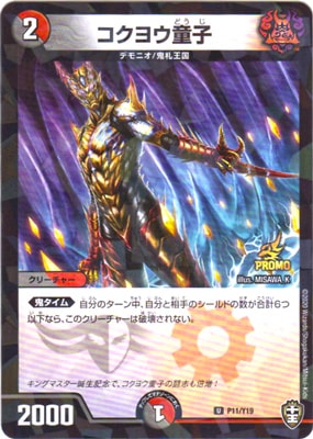 P11/Y19 �����襦Ƹ��