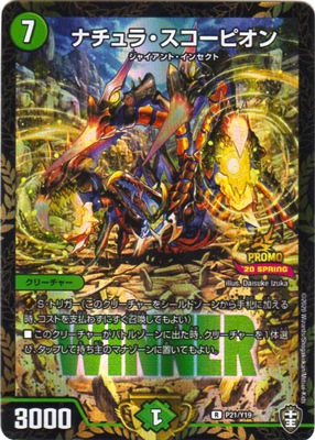 P21/Y19 �ʥ���顦�������ԥ���