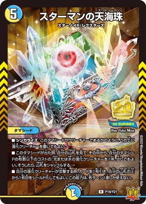 P19/Y21 �������ޥ��ŷ����