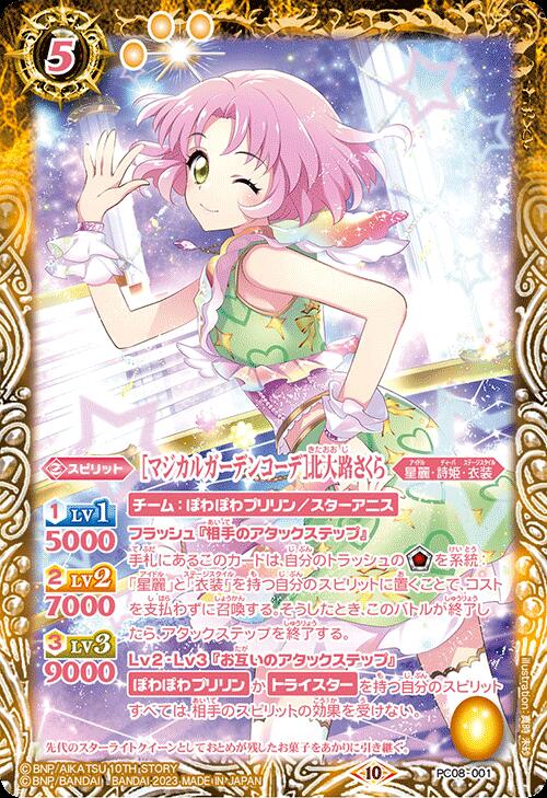 PC08-001 �Υޥ����륬���ǥ󥳡��ǡ�����ϩ������