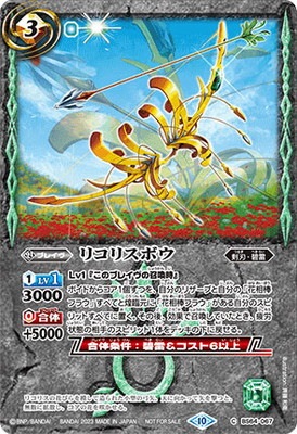 BS64-067 �ꥳ�ꥹ�ܥ���2023�ۡ�X�쥢�ù���