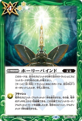 BS66-080 �ۡ��꡼�Х����