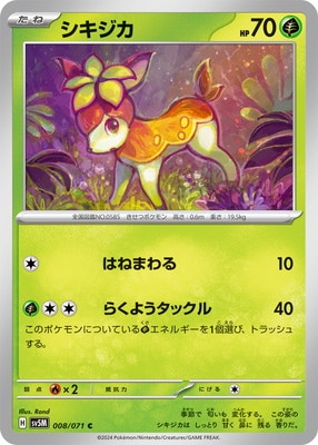 PK-SV5M-008 �������� C