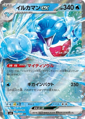 PK-SV6-036 ���륫�ޥ�ex RR