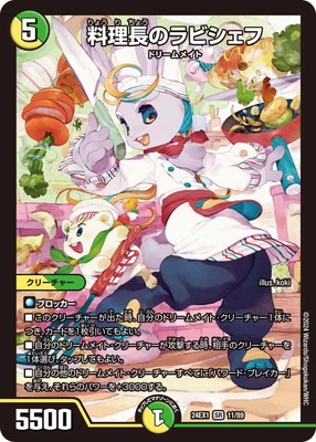 DM24-EX1/11/SR/����Ĺ�Υ�ӥ�����
