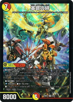 DM24-BD1/8/SR/��̿���