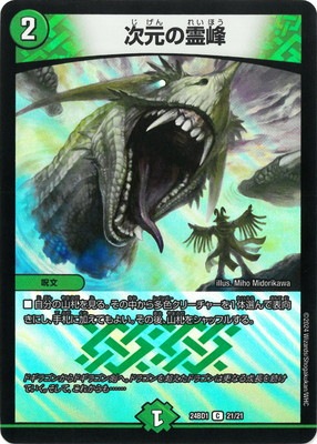 DM24-BD1/21/C/����������