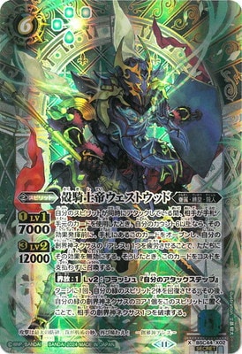 ��SECRET��BSC44-X02 �̵����륦�����ȥ��å� X