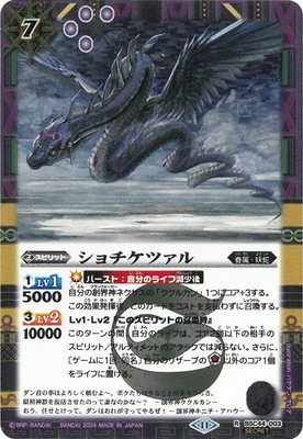 ��SECRET��BSC44-003 ��������ĥ��� R