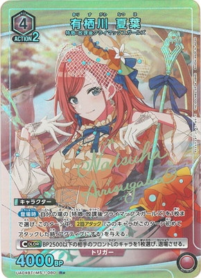 �ڥѥ����UA04BT/IMS-1-080 ͭ���� ���� R��