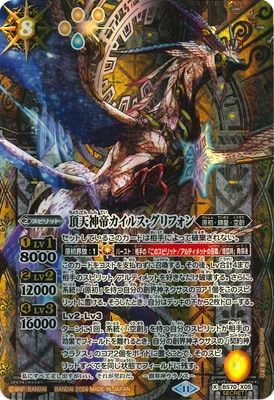 ��SECRET��BS70-X05 ĺŷ���륫���륹������ե��� X��2024��