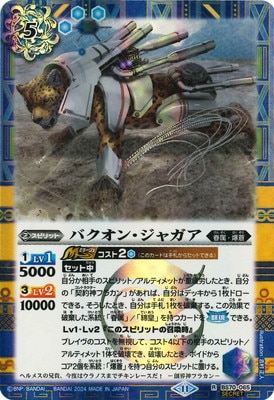 ��SECRET��BS70-065 �Х����󡦥��㥬�� R 