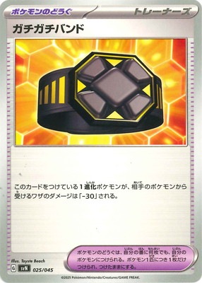 PK-SVN-025 ���������Х��