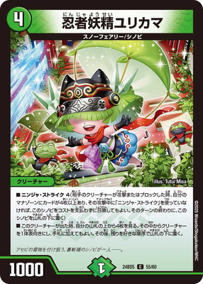 DM24-BD5/55/C/Ǧ��������ꥫ��