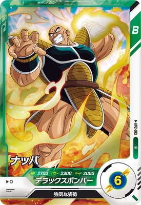 AP2-013 �ʥå� R