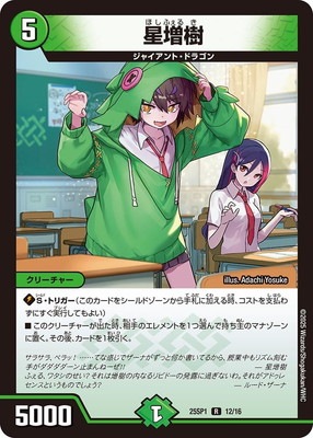 DM25-SP1/R/12/������