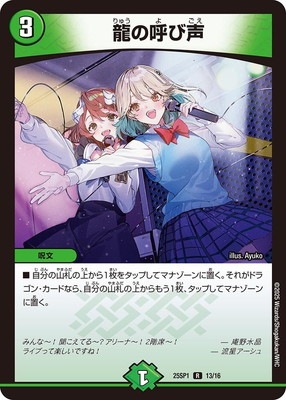 DM25-SP1/R/13/ζ�θƤ���