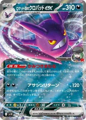 PK-SV10-066 �����å��ĤΥ����Хå�ex RR