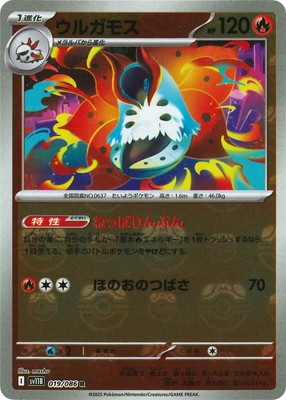 �ڥ���ۡڥޥ������ܡ�������PK-SV11B-019 ���륬�⥹ R