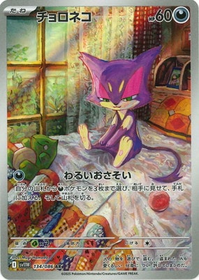 PK-SV11W-134 ������ͥ� AR