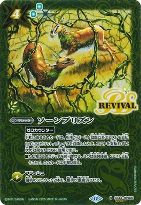 ��SECRET�ۡ�BSC47��BS44-RV009 ������ץꥺ�� R��2025��