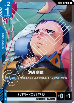 ST01-012 �������� C