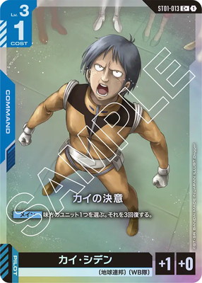 �ڥѥ����ST01-013 �����η�� C��