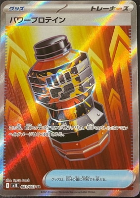 PK-M1L-081 �ѥ�ץ��ƥ��� SR