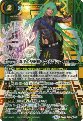 ��SECRET��BS73-CX01 ����η������ࡦ�������� ����X��2025��