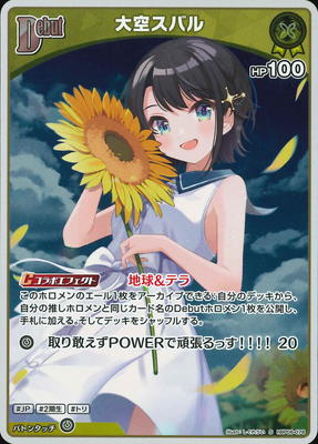 ��S��hBP06-078 ������Х�
