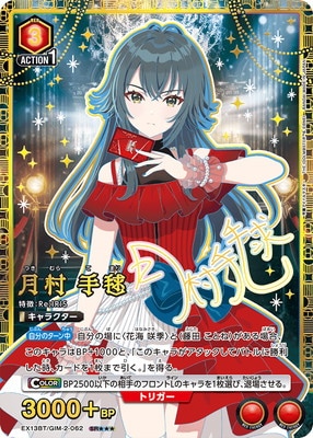 �ڥѥ����EX13BT/GIM-2-062 ��¼ ���� SR������