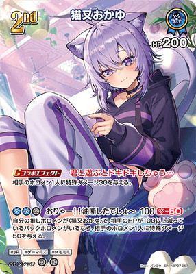 ��SR��hBP07-057 ǭ��������